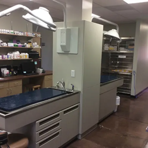 Foxtail Pines Veterinary Hospital Treatment Areas